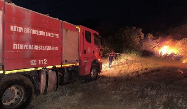 Kırıkhan'da otluk alandan alevler yükseldi