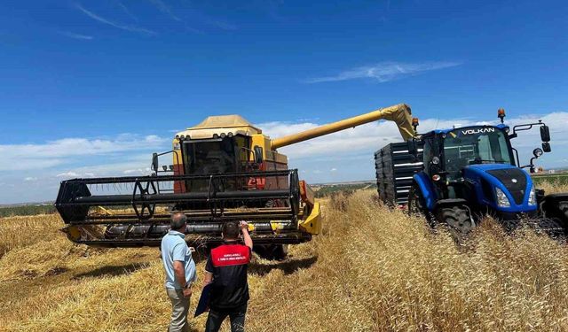 Kırklareli'nde hasat döneminde biçerdöver denetim