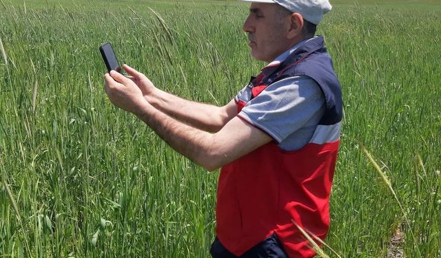 Kütahya'da arazi ve ürün kontrolleri yapıldı