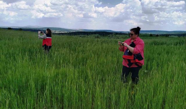 Kütahya'da saha kontrolleri ve veri giriş işlemleri aralıksız sürüyor