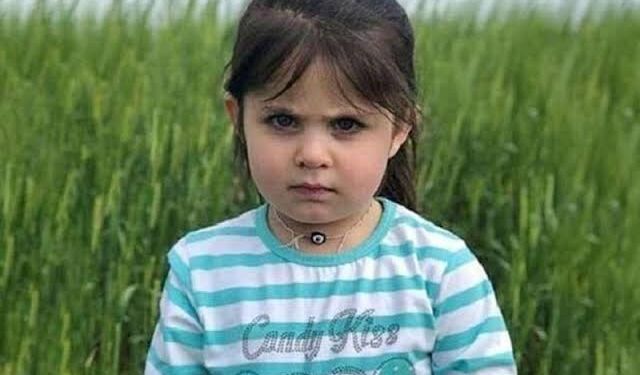 Leyla Aydemir davasında annenin beyanlarının ardından gözler yarınki duruşmada
