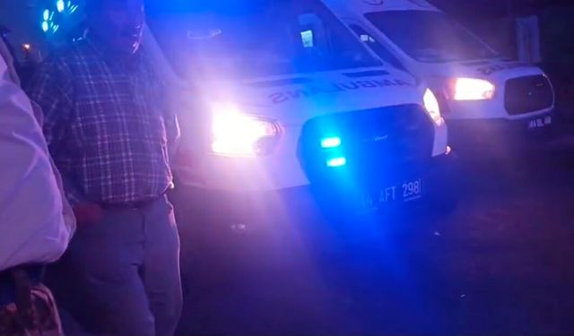 Malatya'da akrabalar arasında 'dut ağacı' kavgası: 1'i çocuk 3 yaralı