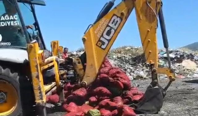 Manisa'da menşei belirsiz midyeler imha edildi