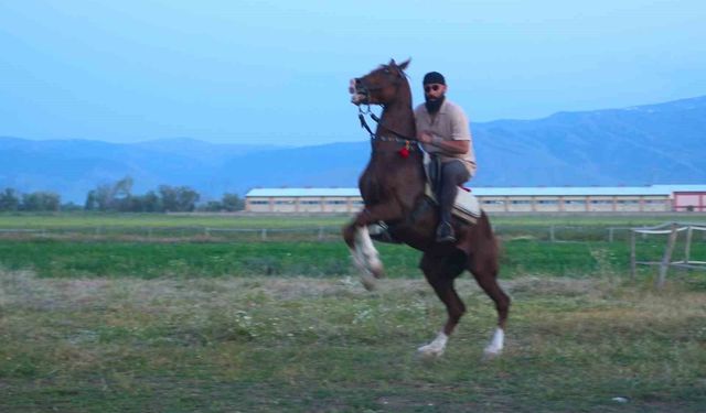 'Mehmet: Fetihler Sultanı' oyuncusu Mustafa Kaya, Muş'ta film atlarını hazırladı