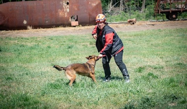 Muğla NAK Arama Kurtarma Köpekleri Macaristan'da sahaya indi