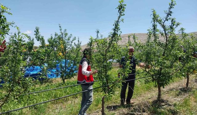 Niğde'de dolu ve sağanak tarım arazilerine zarar verdi