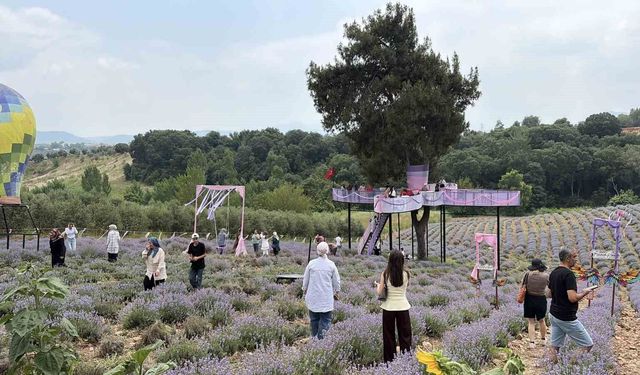 Osmaniye'de mis kokulu lavantalar arasında renkli festival