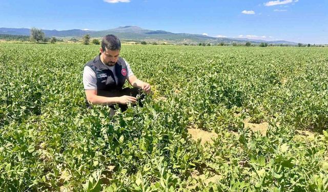Planlı tarımsal üretim için saha çalışmaları sürüyor