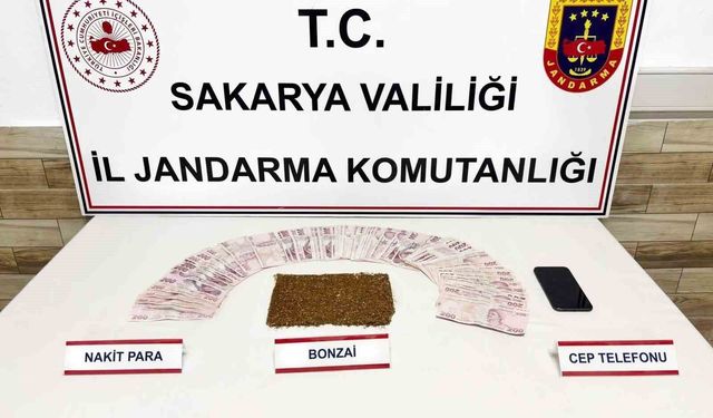 Sakarya'da 3 ilçede uyuşturucu operasyonu: 4 tutuklama