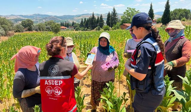 Salihli Jandarma, tütün tarlasında KADES'i anlattı