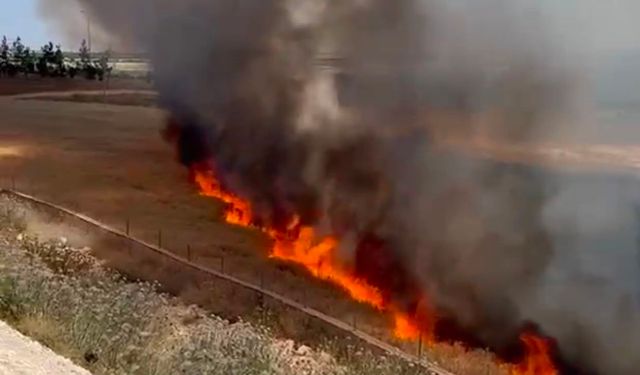 Şanlıurfa'da arpa ekili arazide çıkan yangında 30 dönüm alan zarar gördü