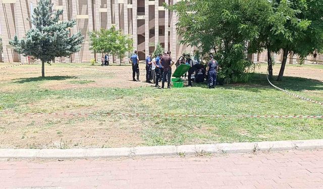 Şanlıurfa'da bir genç parkta ölü bulundu