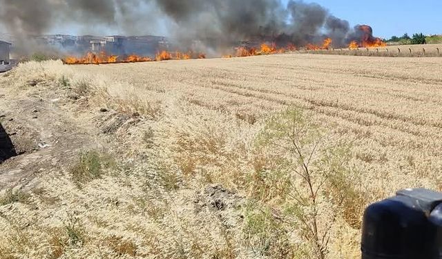 Silivri'de çıkan iki tarla yangını söndürüldü