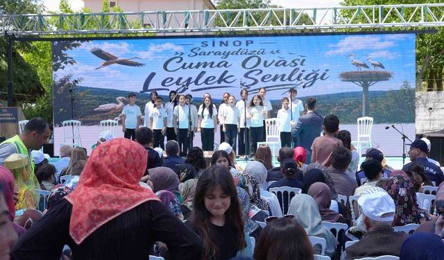 Sinop'ta Leylek Şenliği: Yavrular halkalandı