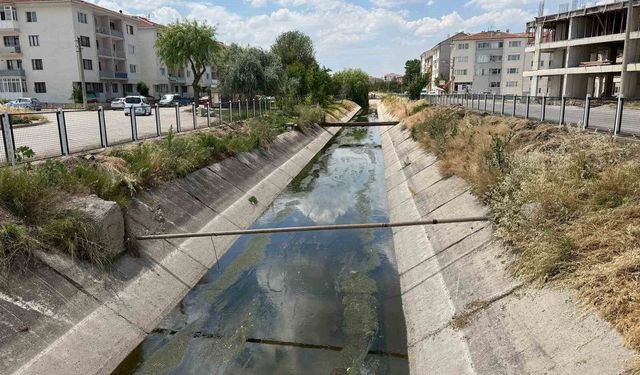 Sulama kanalı için muhtardan 'yeşil alan' talebi