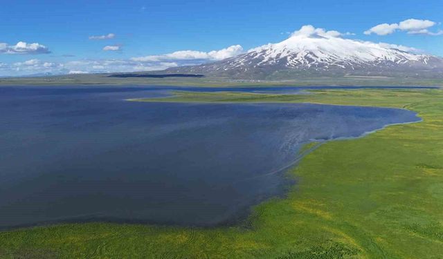 Süphan Dağı'nın eteklerindeki saklı cennet: Cil Gölü mest ediyor