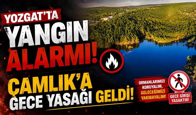 Yozgat'ta Yangın Alarmı: Çamlık'a Gece Yasağı Geldi