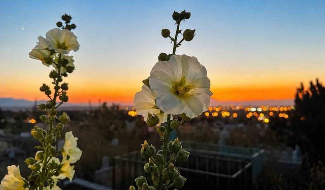 Ağrı'da aynı anda gün batımı ve ay doğumu görüntülendi
