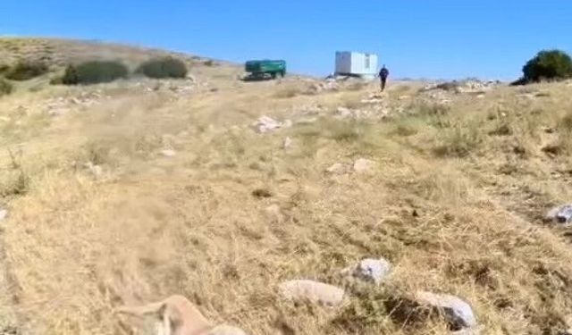 Aladağlar'da BASE Jump sporcusuna çoban köpekleri saldırdı