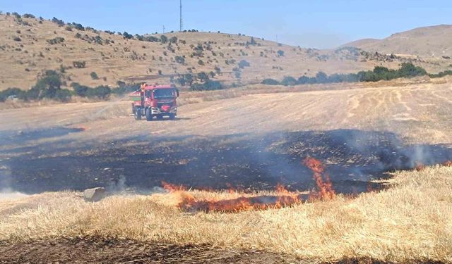 Anız yangınında 200 dekar alan zarar gördü