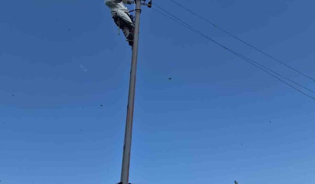Aras elektrik ekipleri arıcı koruyucu kıyafetiyle müdahale ediyor