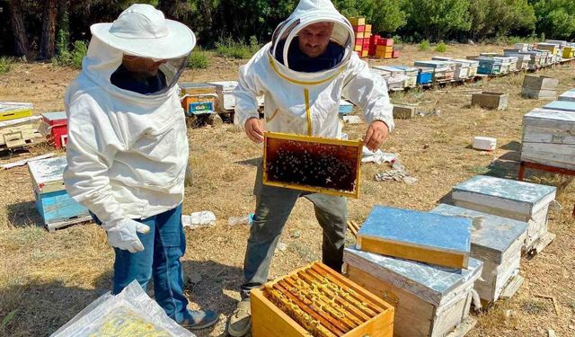 Arılı kovan desteği için işletme denetimleri sürüyor