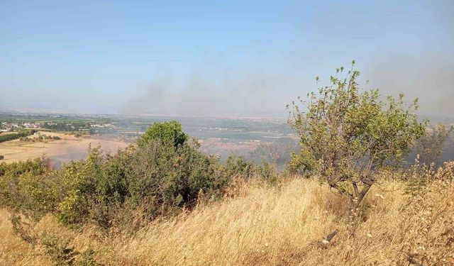 Balıkesir'de arazi yangınına Orman ve itfaiye ekipleri müdahale etti