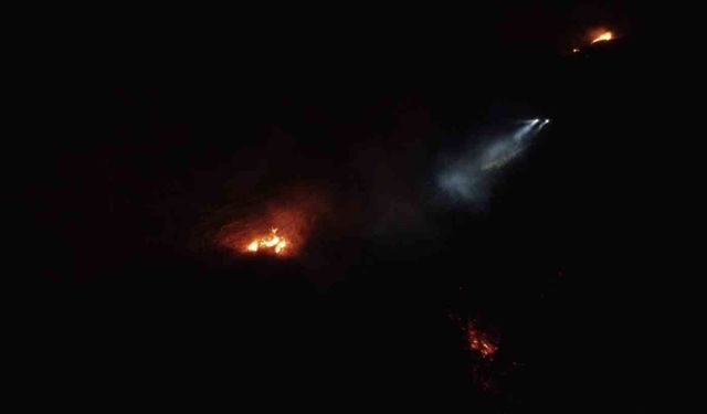 Balıkesir'de gece yarısı orman yangını çıktı