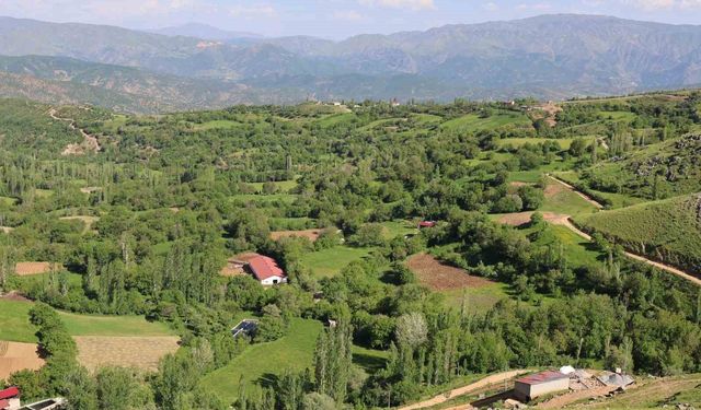 Bitlis Hizan yaban hayatıyla öne çıkıyor