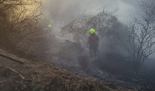Burhaniye'de ot yangınını itfaiye söndürdü
