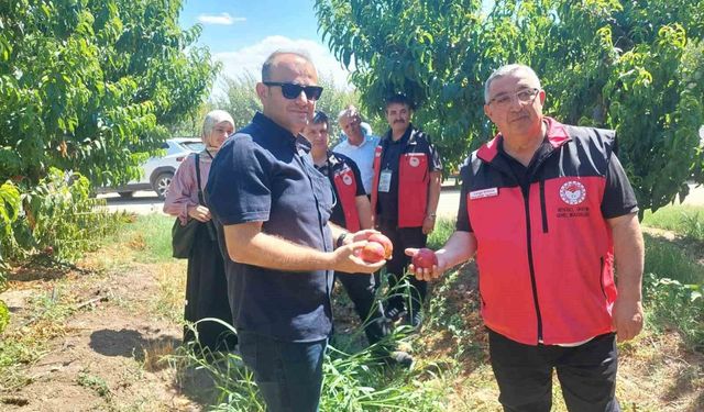Çanakkale'de bitkisel üretim projeleri değerlendirildi