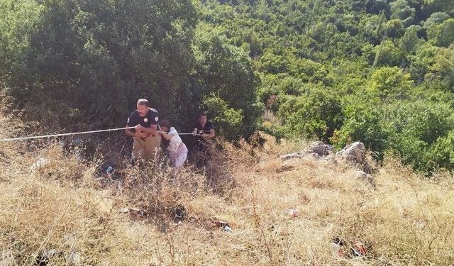 Defne'de indiği uçurumdan çıkamayan vatandaşı itfaiye kurtardı