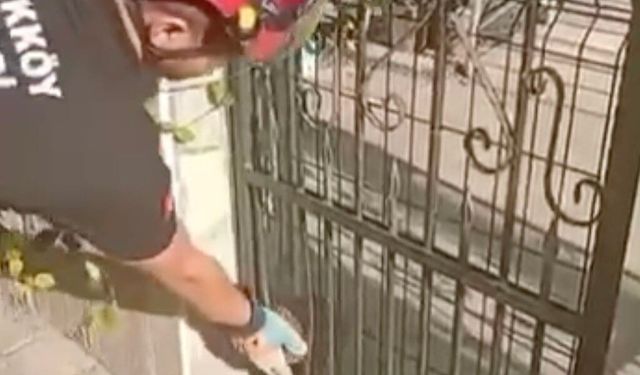 Demir kapıya sıkışan kirpiyi böyle kurtardılar