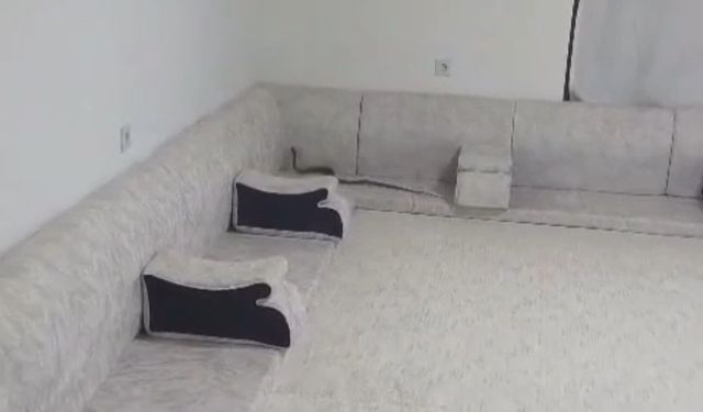 Derecik'te misafir bekleyen ailenin evine yılan girdi