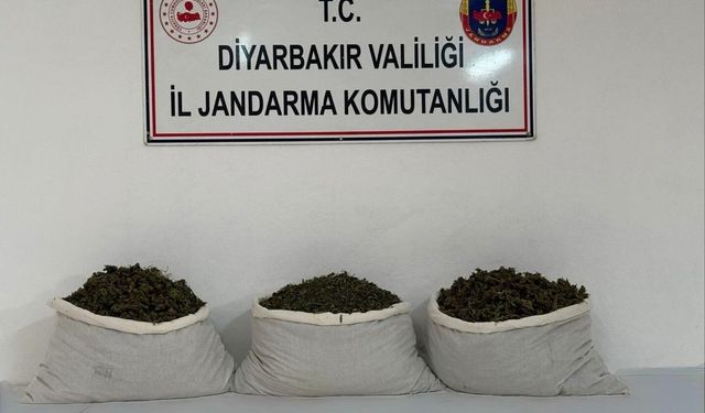Diyarbakır'da 107 kilo esrar maddesi ele geçirildi