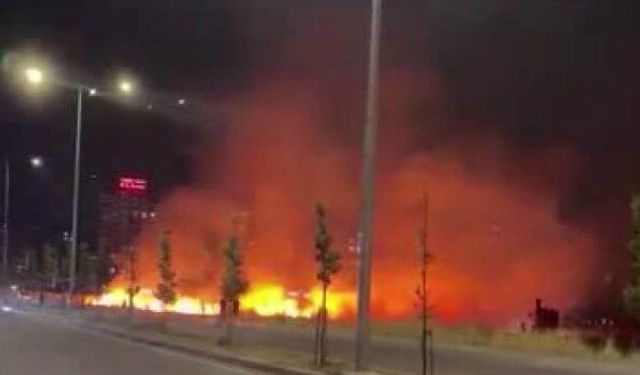 Diyarbakır'da geceyi gündüze çeviren yangın
