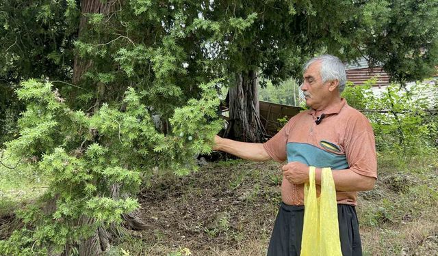 Doğadan topladığı andız çekirdeklerini koleksiyonluk tespihlere dönüştürüyor