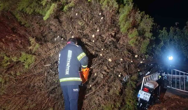 Erdek'te fırtına ve dolu yağışı: Ağaçlar devrildi, çatılar uçtu
