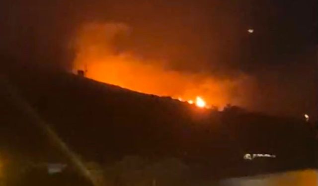 Erdek'te yüksek gerilim hattına yıldırım düşmesi sonucu yangın çıktı