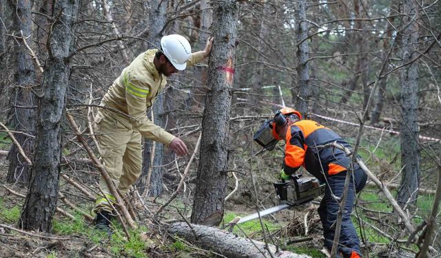 Erzurum'un akciğerlerine planlı dokunuş