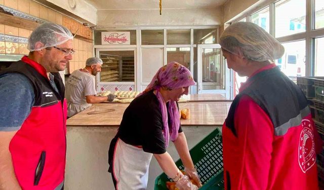 Gıda işletmelerine yönelik denetim