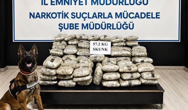 Hakkari'de 57 kilo 200 gram skunk ele geçirildi
