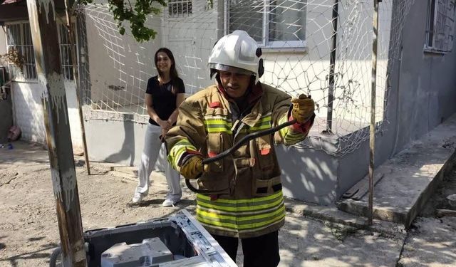 Hassa ve Erzin'de yerleşim alanlarına giren yılanları itfaiye yakaladı