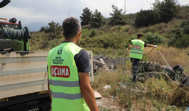 Hatay Büyükşehir Belediyesi, haşerelere karşı vatandaşları bilinçlendiriyor