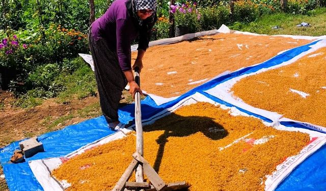 Kahramanmaraş'ta kışlık telaşı