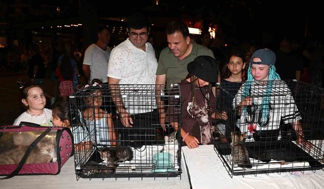 Kemer Belediyesi'nde 'Can dostları' için konser