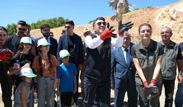 Kenelere karşı mücadele sürüyor: Tunceli'de 500 kınalı keklik doğaya salındı
