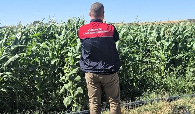 Kırklareli'de tarım arazileri tek tek kontrol ediliyor