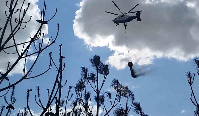 Kırklareli'deki orman yangını söndürüldü: 35 dekar alan zarar gördü