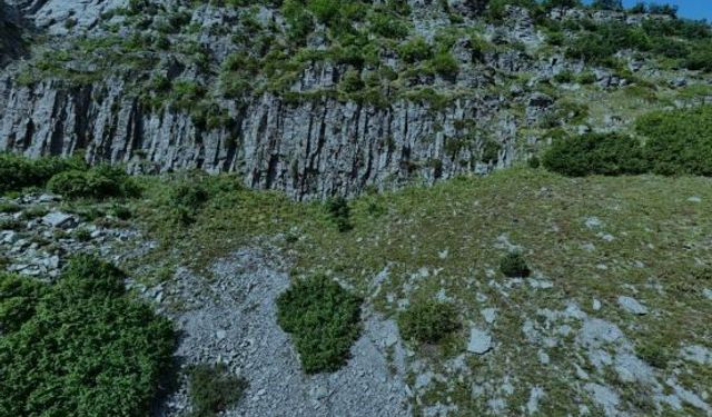 Kraliçe Tamara'nın gizemli mezarı için Posof iddiası gündemde